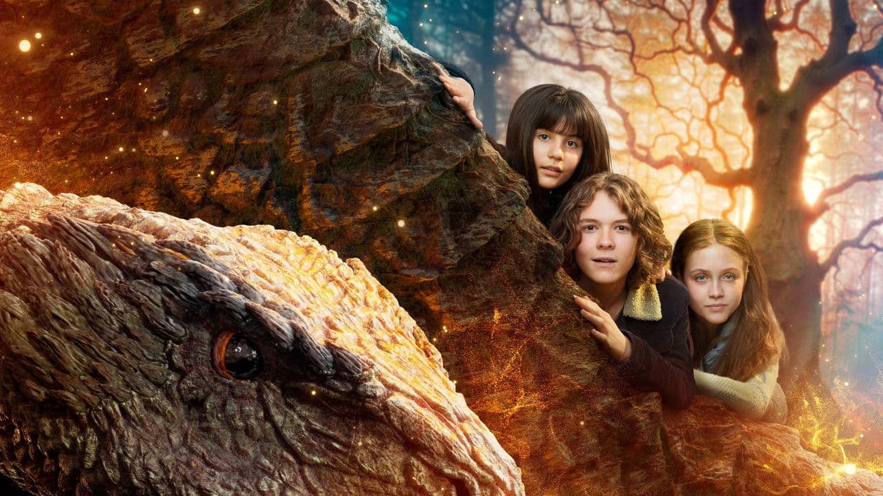 Valdes Jul - Vintermiraklet