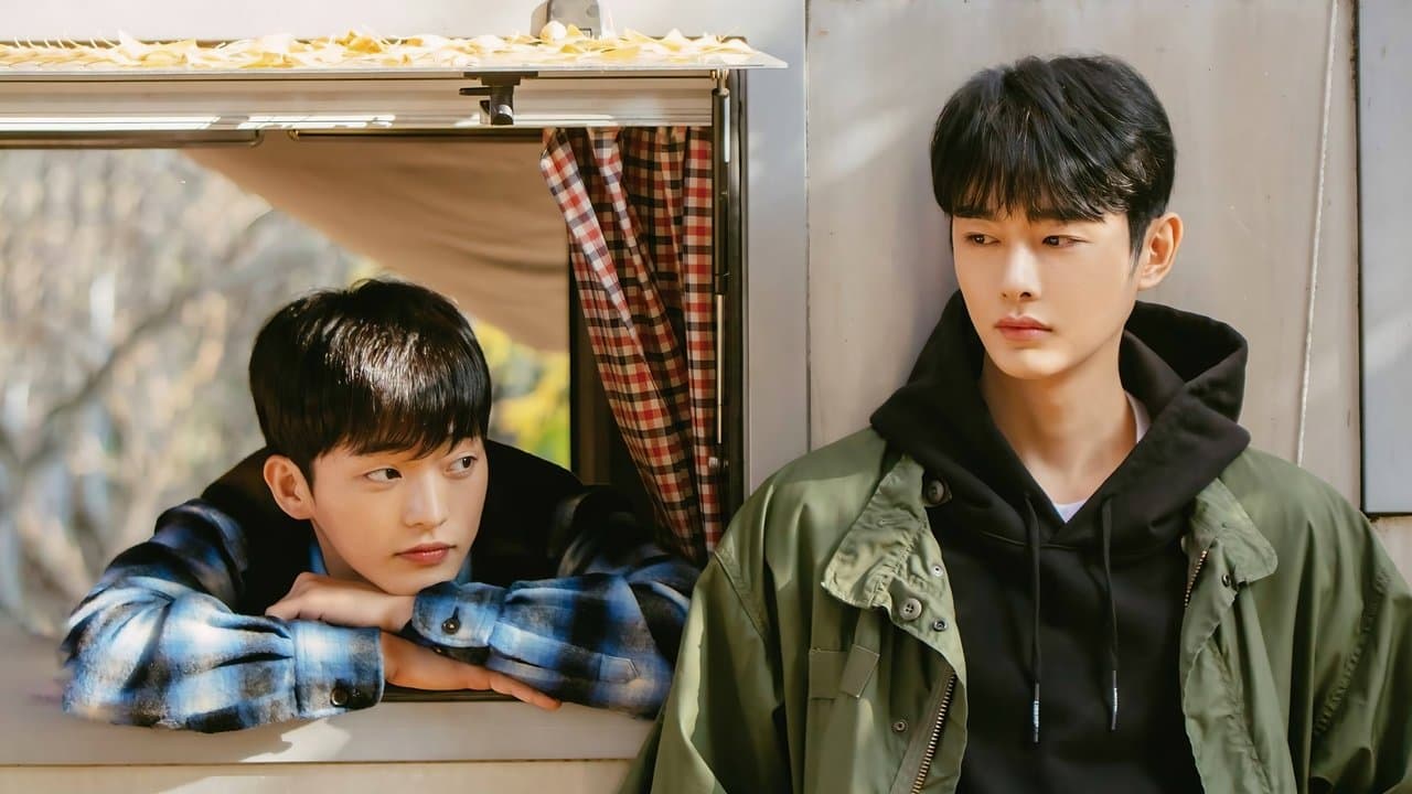 Cherry Blossoms After Winter