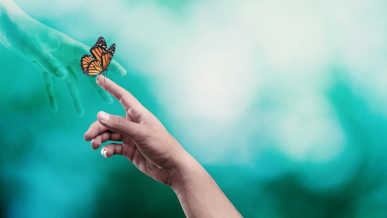 العودة من الموت