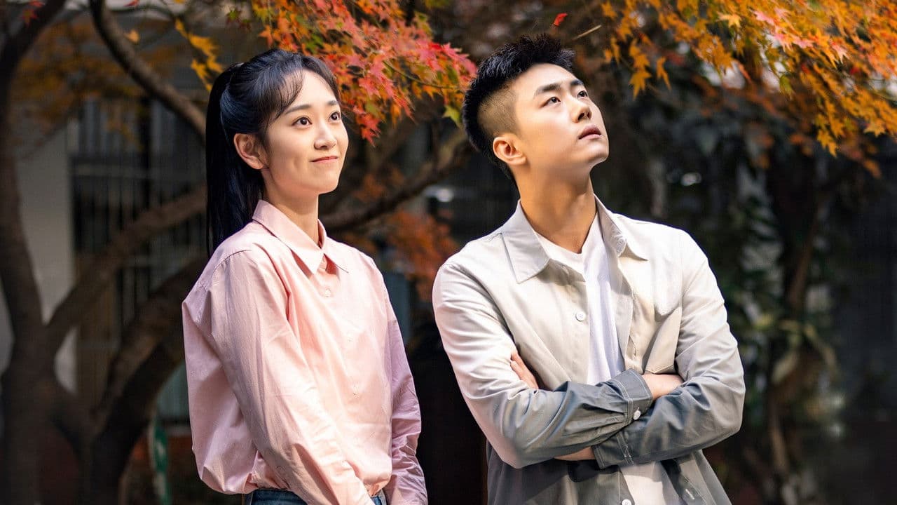 司法所里的故事