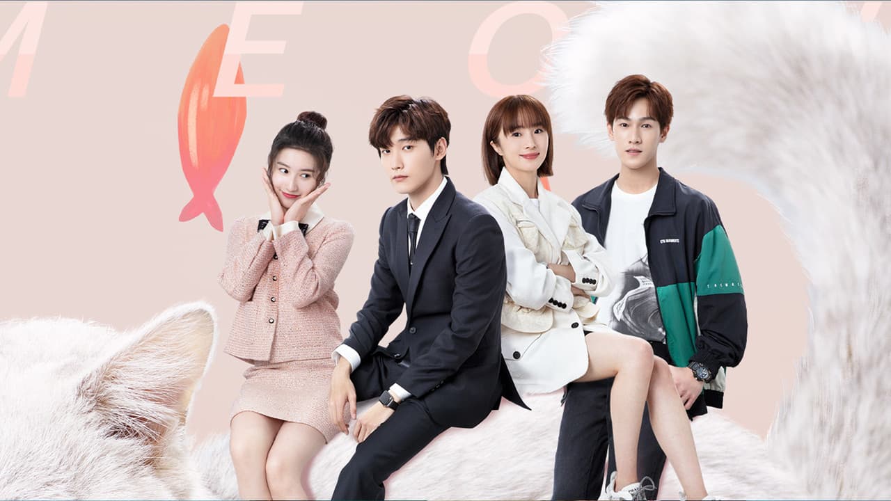 一不小心喵上你