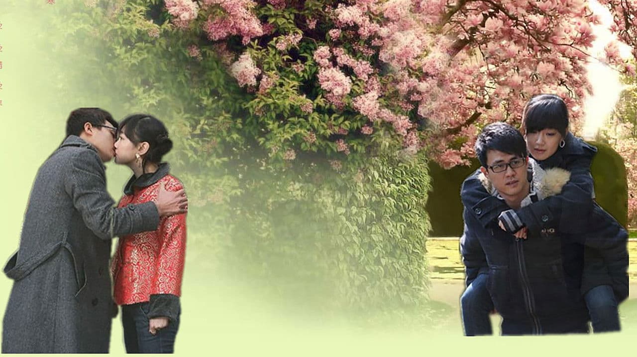 租个女友回家过年