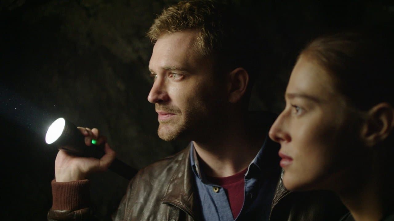 Beležnica profesora Miškovića