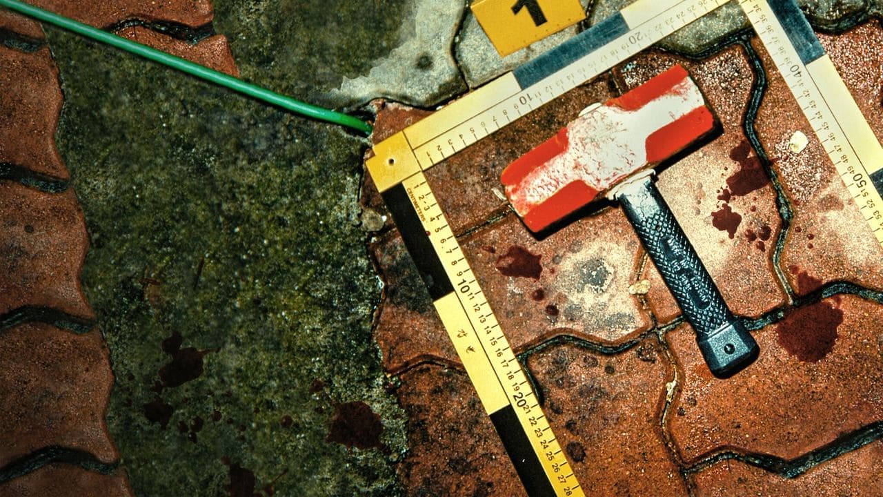 الوحش: مطاردة قاتل في كوريا