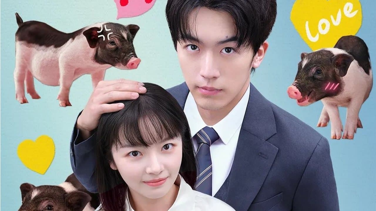 我的老板是小猪