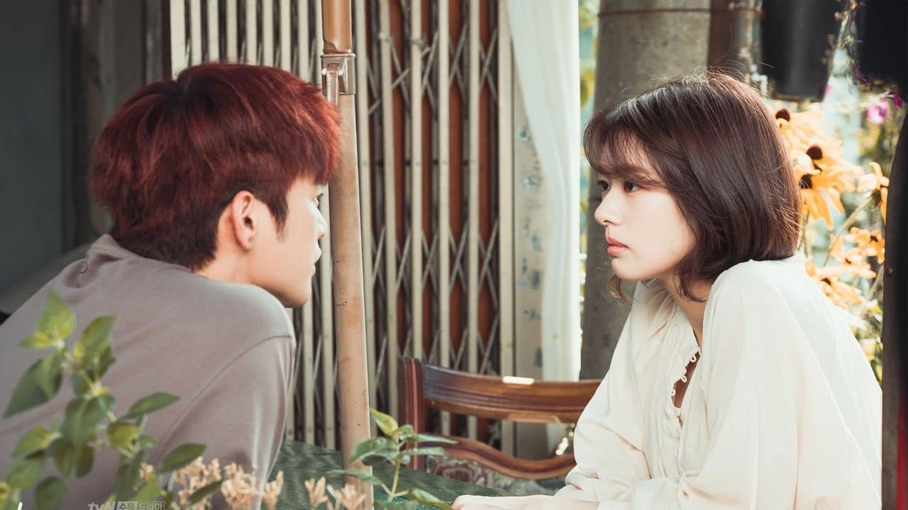 하늘에서 내리는 일억개의 별