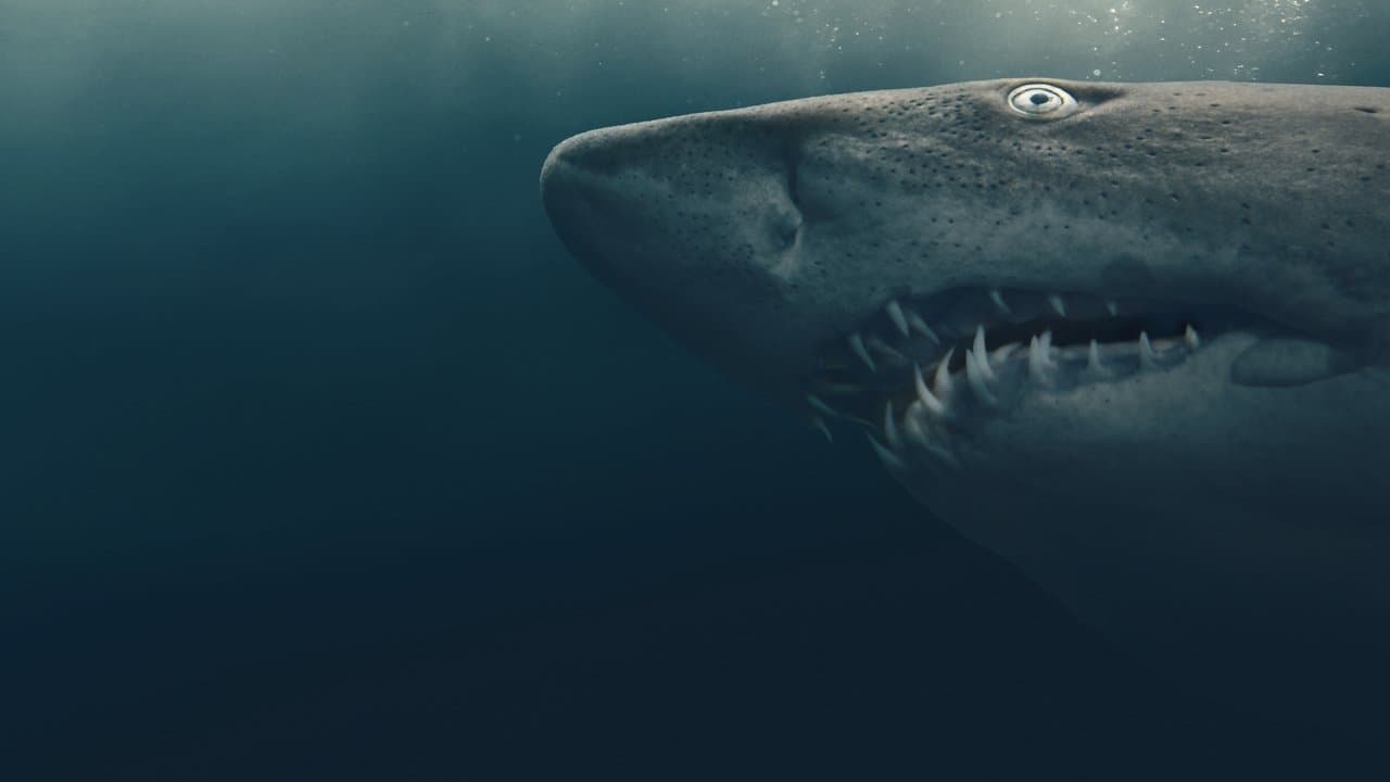 Shark Quest: Hunt For The Apex Predator