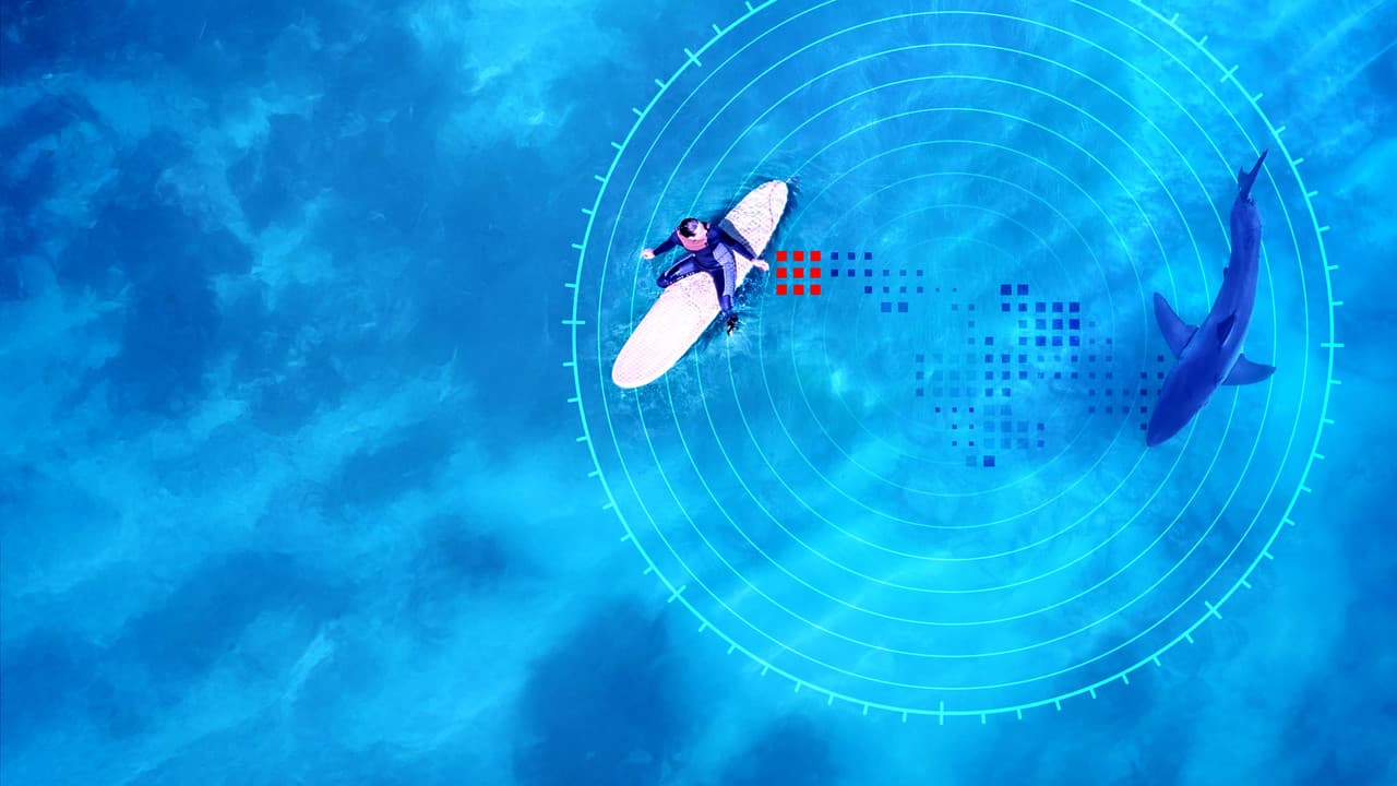 Investigation Shark Attack