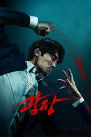 مسلسل محدود