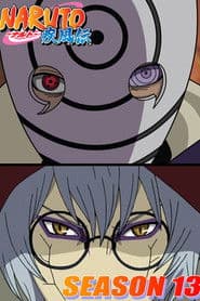 الموسم 13