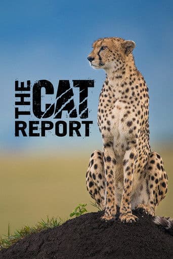 The Cat Report