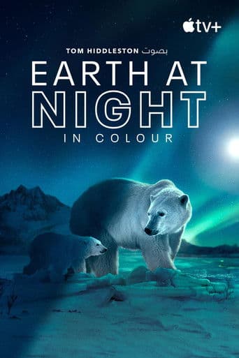 Earth at Night in Colour