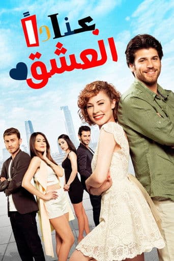 العشق عناداً