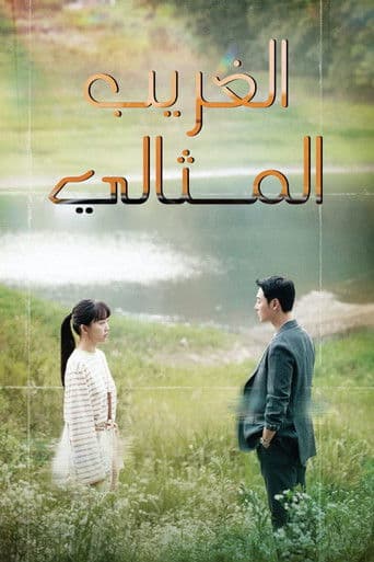 الغريب المثالي