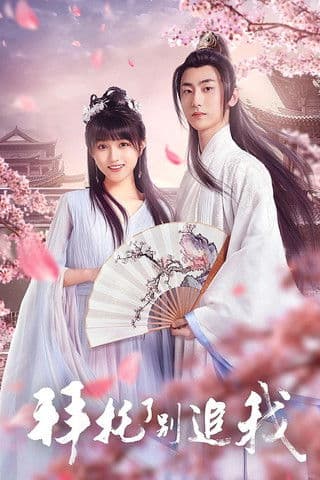 Please, Don't Chase Me