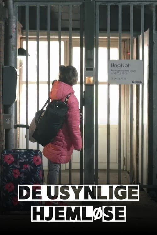 De usynlige hjemløse