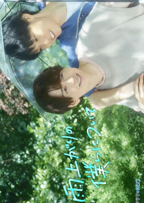 雨上がりの僕らについて