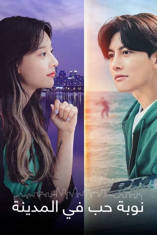 도시남녀의 사랑법