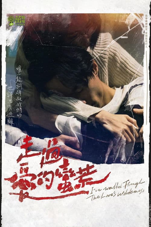 I've walked Through The Love's wilderness