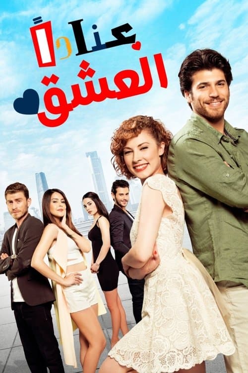 العشق عناداً