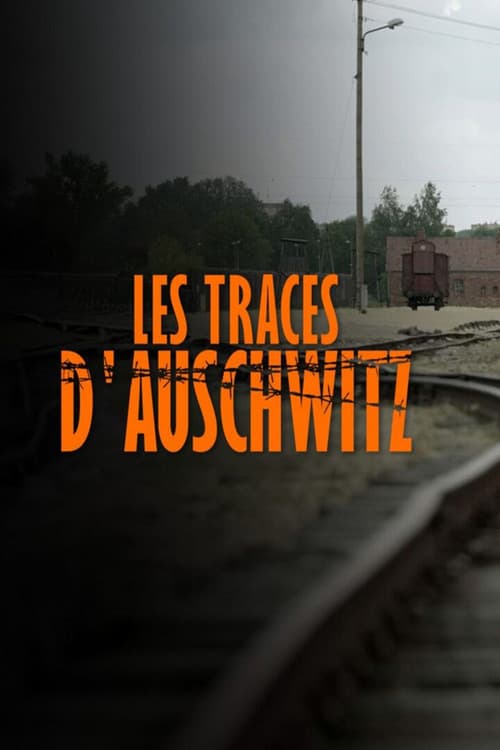 Les Traces D'Auschwitz (2021)
