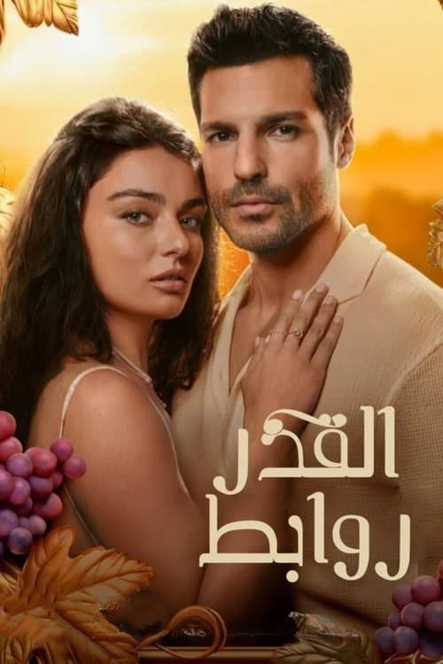 روابط القدر