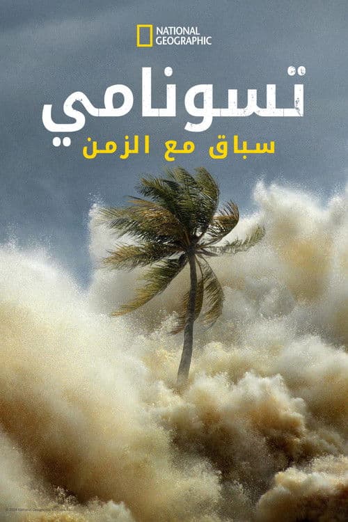 تسونامي: سباق مع الزمن