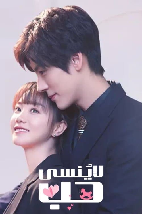 贺先生的恋恋不忘