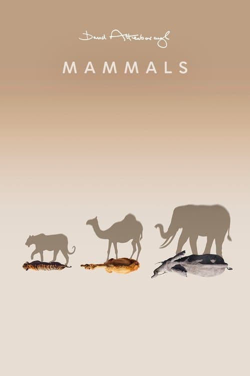 Mammals