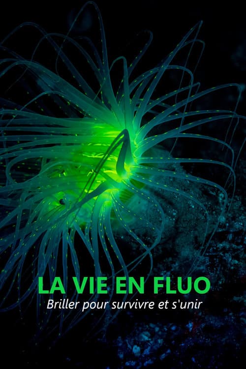 La vie en fluo