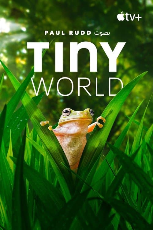 Tiny World