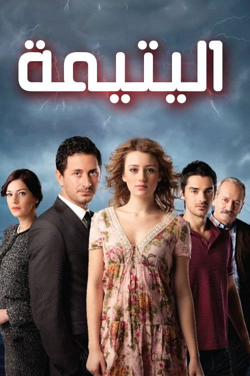 Eve Düşen Yıldırım