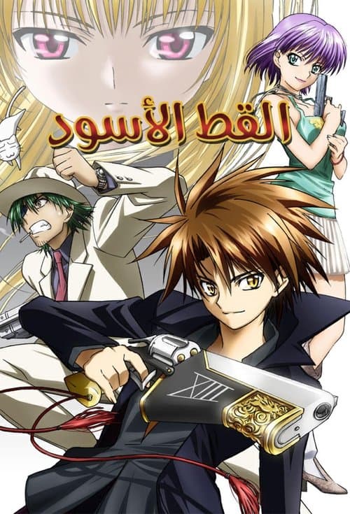 القط الاسود