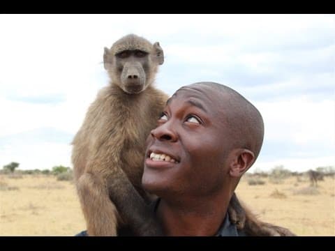 OFFSPRING FILMS   MONKEYS PROMO