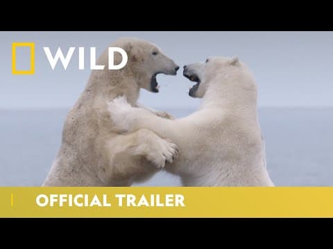 Kingdom of the Polar Bears | Official Trailer | National Geographic Wild UK