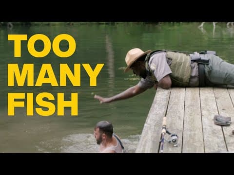 Mt. Mystic - Too Many Fish