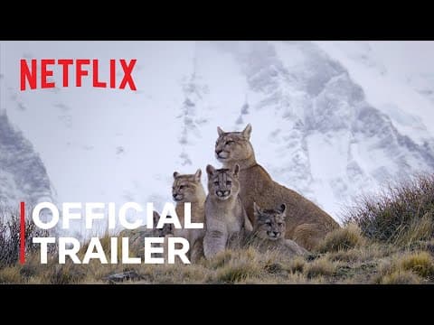 Official Netflix Trailer