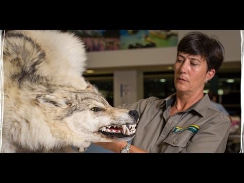 Border Patrol Series 7 Promo