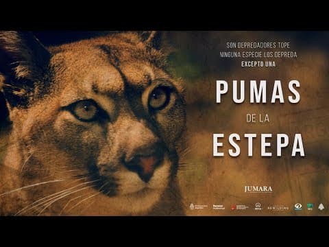 PUMAS de la ESTEPA  // Trailer Serie