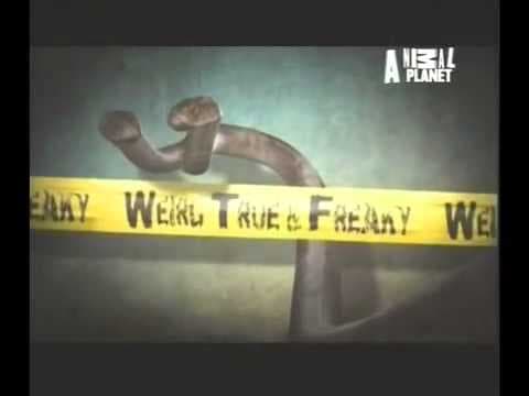Weird, True & Freaky - Animal Planet