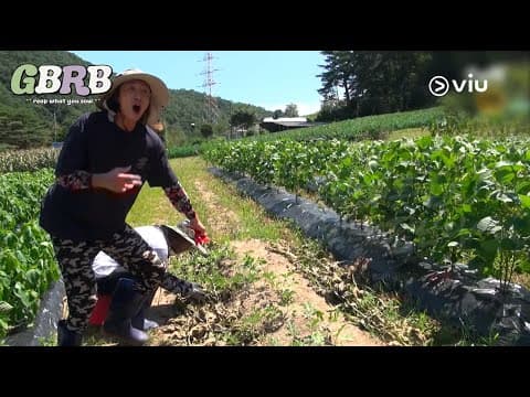 Farm Life of the Chaotic Besties! | Teaser: GBRB: Reap What You Sow | Viu
