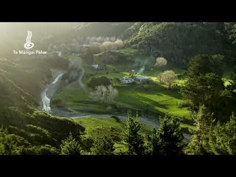 Homesteads | NEW SERIES | Coming Soon