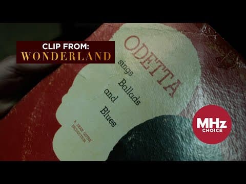 MHz Choice: Deep Blue Sea clip from 'Wonderland'