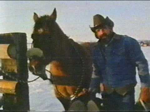 Mysterious World: Bigfoot Footage