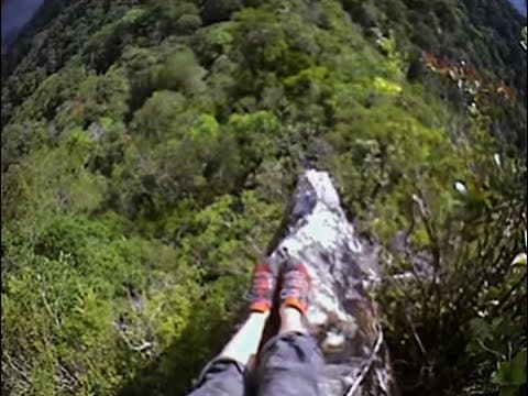 Climbing the Summit | Expedition Borneo | BBC Earth