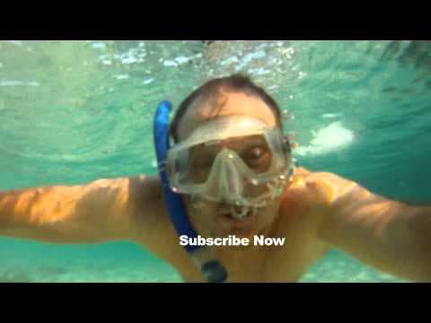 BILLS CHANNEL - SUBSCRIBE NOW!