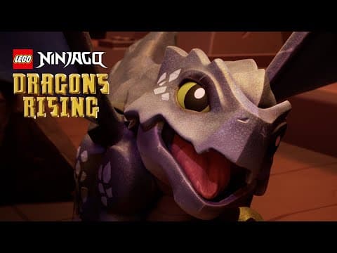 NINJAGO Dragons Rising | Baby Dragon Riyu
