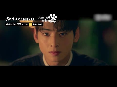 Will Cha Eun Woo Kiss the Dog Version of Park Gyu Young? [ENG SUB]