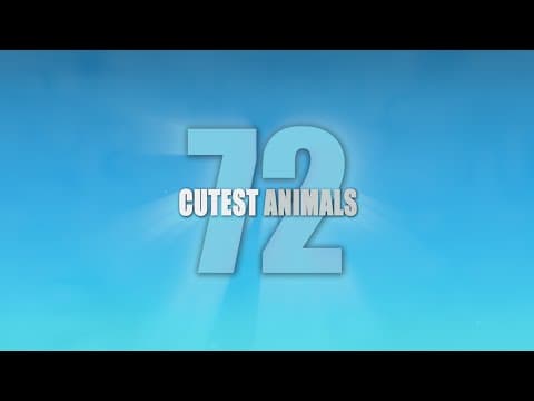 72 Cutest Animals - Trailer