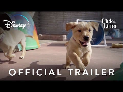 Official Trailer